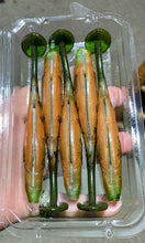 Load image into Gallery viewer, Universal clear plastic clamshells